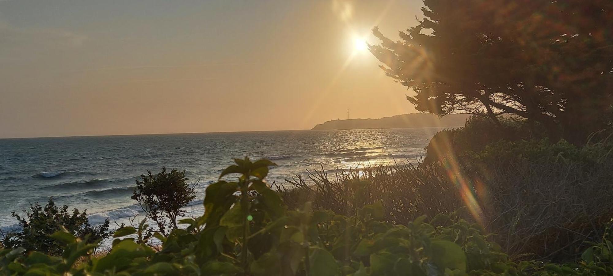 Les Sables D'Or - Joli T3 200M De La Plage Barneville-Carteret Exteriör bild