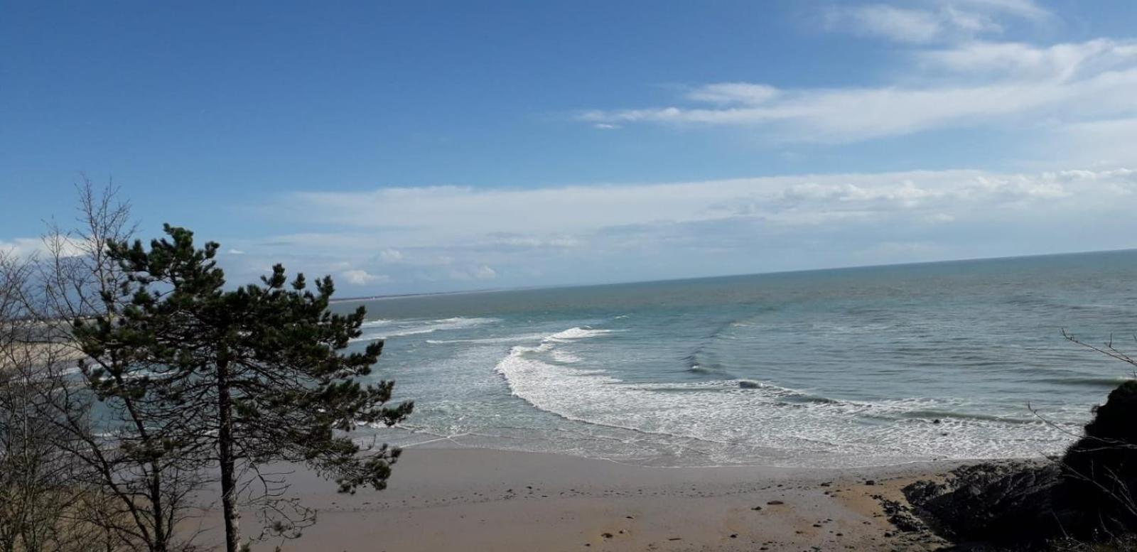 Les Sables D'Or - Joli T3 200M De La Plage Barneville-Carteret Exteriör bild